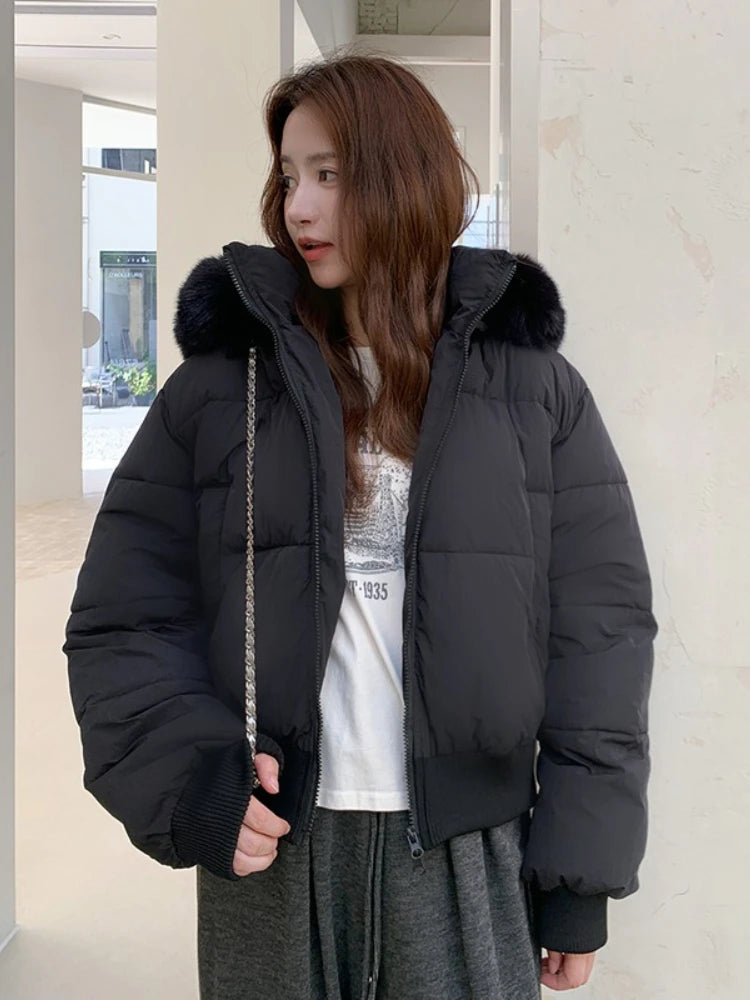 Doudoune Courte Femme Hiver 2025 à Capuche Fourrée